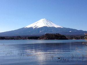 お取引先は日本企業だけです